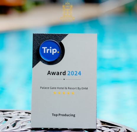 Rising Star Award 2024 from Trip.com